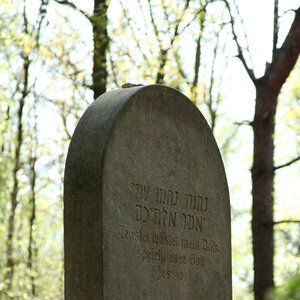 Judenfriedhof in Westerkappeln